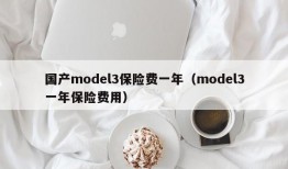 国产model3保险费一年（model3一年保险费用）