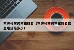 车牌号查询车主姓名（车牌号查询车主姓名信息电话是多少）