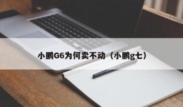 小鹏G6为何卖不动（小鹏g七）