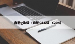 奔驰glk级（奔驰GLK级  X204）