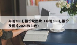 奔驰300乚报价及图片（奔驰300乚报价及图片2021款白色）