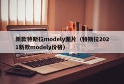 新款特斯拉modely图片（特斯拉2021新款modely价格）