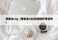 爱丽舍cng（爱丽舍CNG后期维护便宜吗）