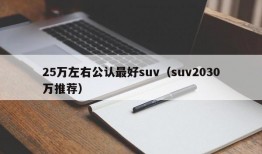 25万左右公认最好suv（suv2030万推荐）