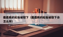 麋鹿戴的轮胎被取下（麋鹿戴的轮胎被取下会怎么样）