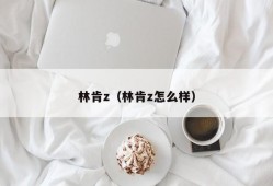 林肯z（林肯z怎么样）