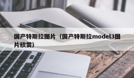 国产特斯拉图片（国产特斯拉model3图片欣赏）