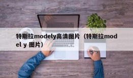 特斯拉modely高清图片（特斯拉model y 图片）