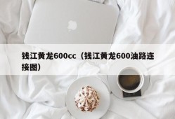 钱江黄龙600cc（钱江黄龙600油路连接图）