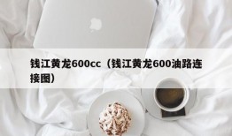 钱江黄龙600cc（钱江黄龙600油路连接图）