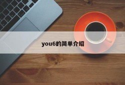 you6的简单介绍