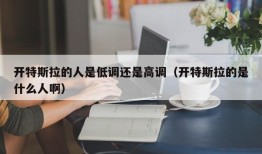 开特斯拉的人是低调还是高调（开特斯拉的是什么人啊）