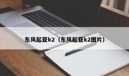 东风起亚k2（东风起亚k2图片）