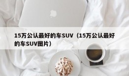 15万公认最好的车SUV（15万公认最好的车SUV图片）