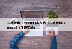 二手特斯拉model3多少钱（二手特斯拉model 3值得买吗）