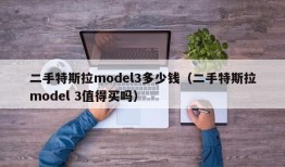 二手特斯拉model3多少钱（二手特斯拉model 3值得买吗）