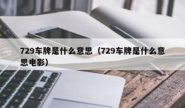 729车牌是什么意思（729车牌是什么意思电影）