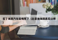 买了海鸥汽车后悔死了（比亚迪海鸥真实口碑）