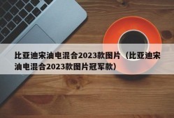 比亚迪宋油电混合2023款图片（比亚迪宋油电混合2023款图片冠军款）