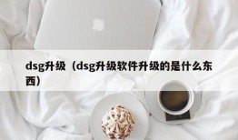 dsg升级（dsg升级软件升级的是什么东西）