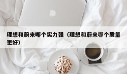 理想和蔚来哪个实力强（理想和蔚来哪个质量更好）