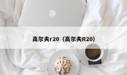 高尔夫r20（高尔夫R20）