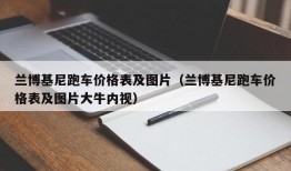 兰博基尼跑车价格表及图片（兰博基尼跑车价格表及图片大牛内视）