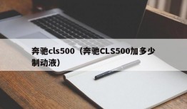 奔驰cls500（奔驰CLS500加多少制动液）