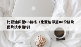 比亚迪仰望u8价格（比亚迪仰望u8价格及图片技术指标）