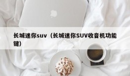 长城迷你suv（长城迷你SUV收音机功能键）