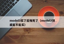 model3买了后悔死了（model3到底能不能买）