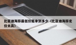 比亚迪海豚最低价能拿到多少（比亚迪海豚定价太高）