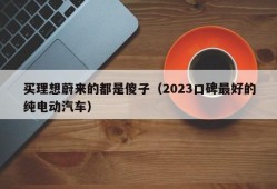 买理想蔚来的都是傻子（2023口碑最好的纯电动汽车）