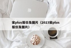 宋plus报价及图片（2023宋plus报价及图片）