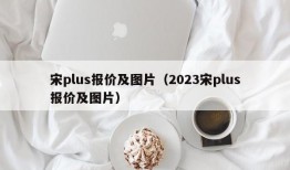 宋plus报价及图片（2023宋plus报价及图片）