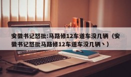 安徽书记怒批:马路修12车道车没几辆（安徽书记怒批马路修12车道车没几辆丶）