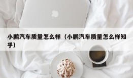 小鹏汽车质量怎么样（小鹏汽车质量怎么样知乎）