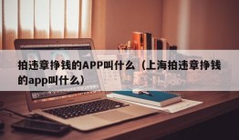 拍违章挣钱的APP叫什么（上海拍违章挣钱的app叫什么）