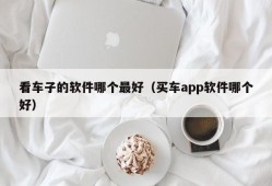 看车子的软件哪个最好（买车app软件哪个好）