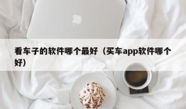 看车子的软件哪个最好（买车app软件哪个好）