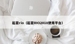 起亚rio（起亚RIO2018使用平台）