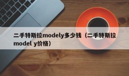 二手特斯拉modely多少钱（二手特斯拉model y价格）