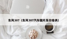 东风307（东风307汽车图片及价格表）