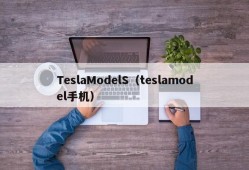 TeslaModelS（teslamodel手机）