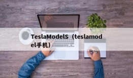 TeslaModelS（teslamodel手机）