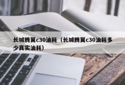 长城腾翼c30油耗（长城腾翼c30油耗多少真实油耗）