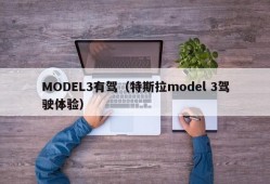 MODEL3有驾（特斯拉model 3驾驶体验）