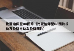 比亚迪仰望u8图片（比亚迪仰望u8图片报价及价格电动车价格图片）