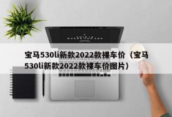 宝马530li新款2022款裸车价（宝马530li新款2022款裸车价图片）