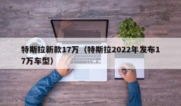 特斯拉新款17万（特斯拉2022年发布17万车型）